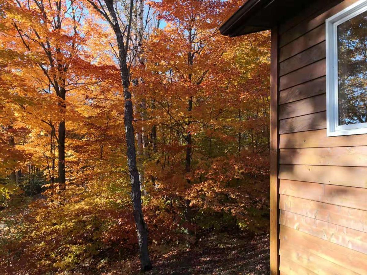 Sunny Point Resort Otter Lake Exterior photo